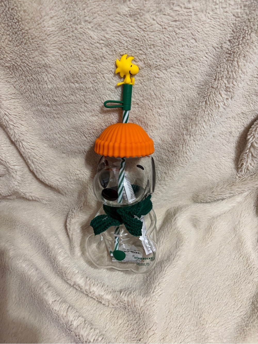 Starbucks Clear Snoopy Bottle with Orange Cap and Green Accents